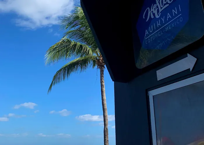 Auikyani * Cozumel