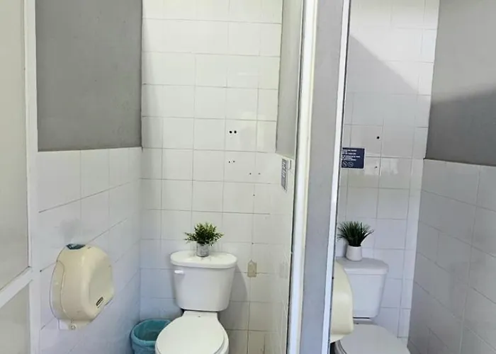 Auikyani Cozumel